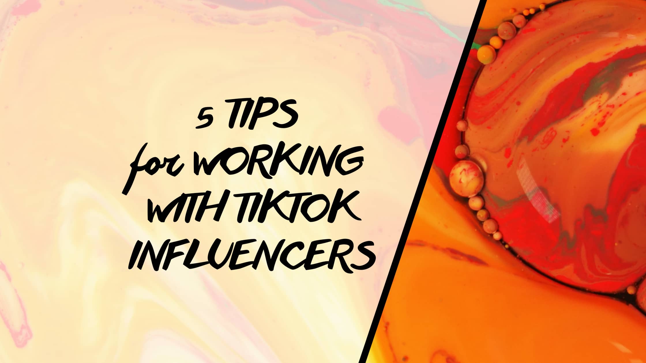 5 Tips for Working With TikTok Influencers