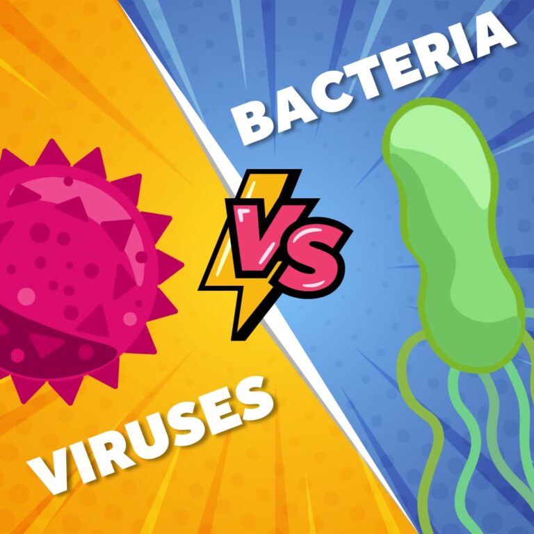 Tiny Titans: The Differences Between Viruses and Bacteria in the Battle for our Lives